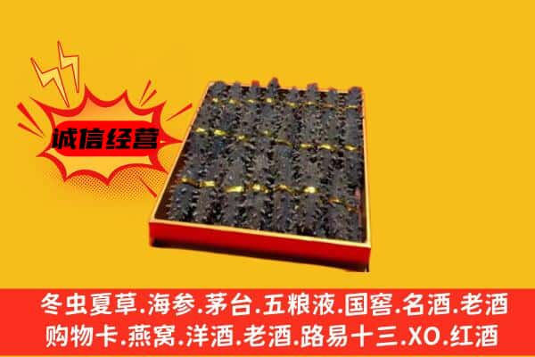 连云港市灌云回收海参